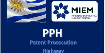 notaprensa_2019081214593426497700