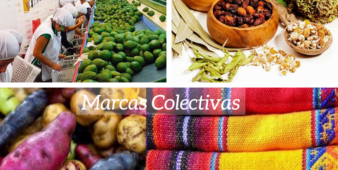 notaprensa_2020113023152484664100